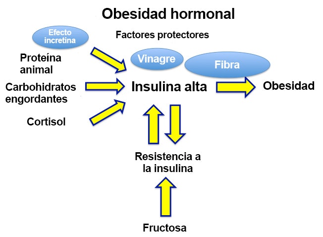 Insulina para bajar de peso
